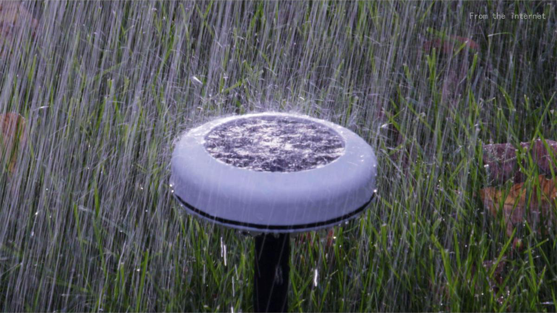 How to Fix Common Solar Light Issues