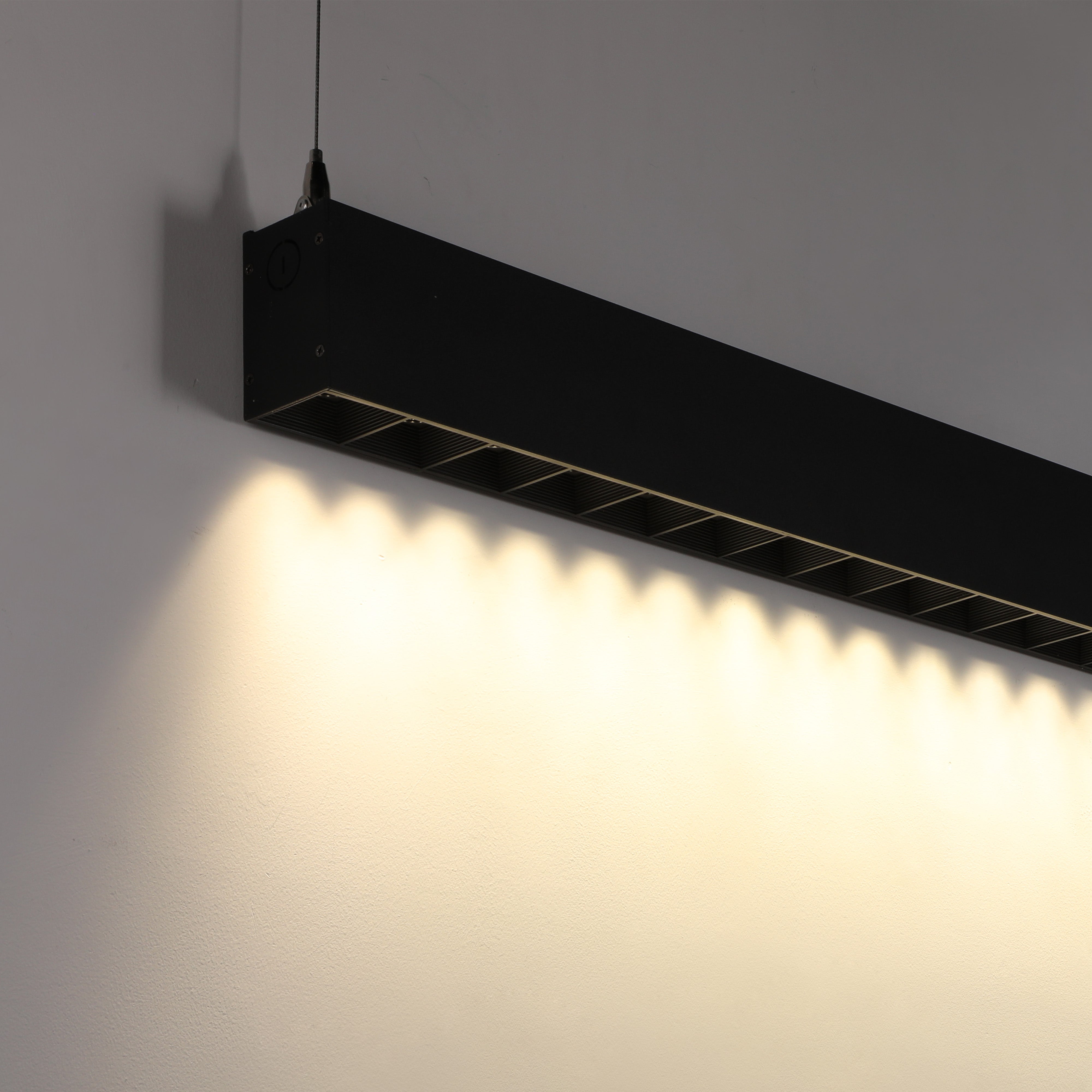 ElegaLux Spot 4' Dot LED Linear Light - Black - 40W - 4000K