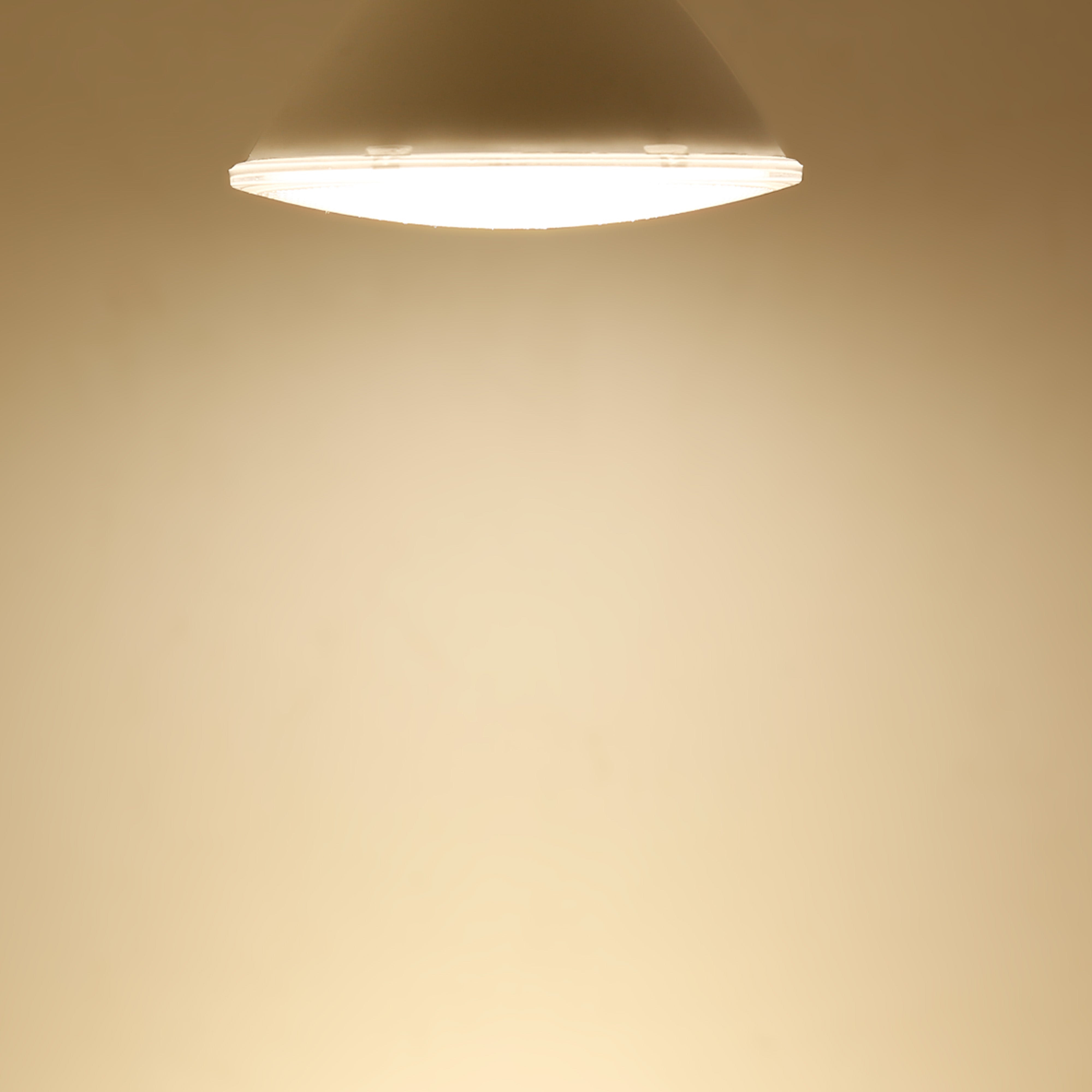 TORCHSTAR P-series 12W PAR30 LED Bulb - Standard - 3000K/5000K