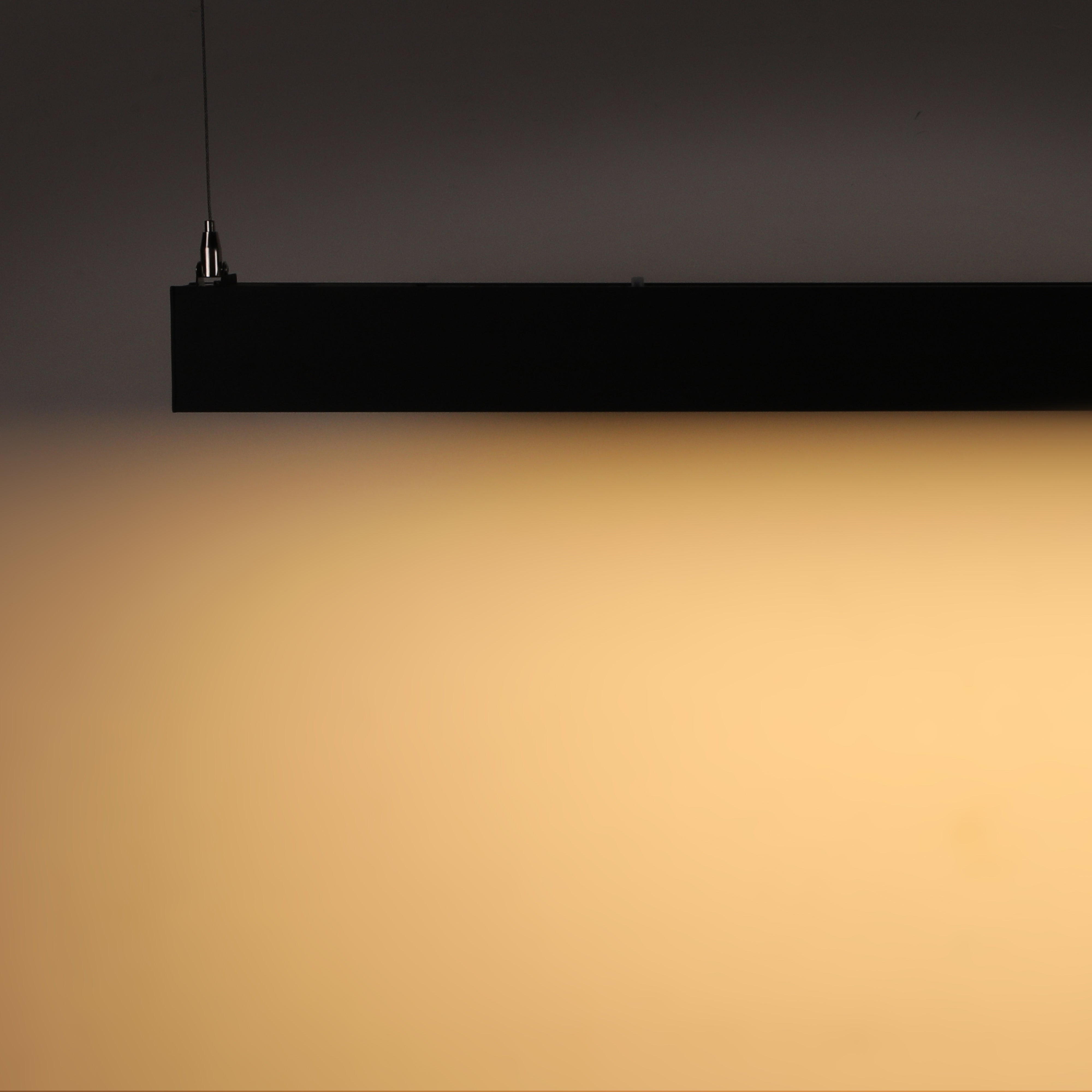 ElegaLux+ 4' LED Linear Light - Black - 40W - Adjustable CCT