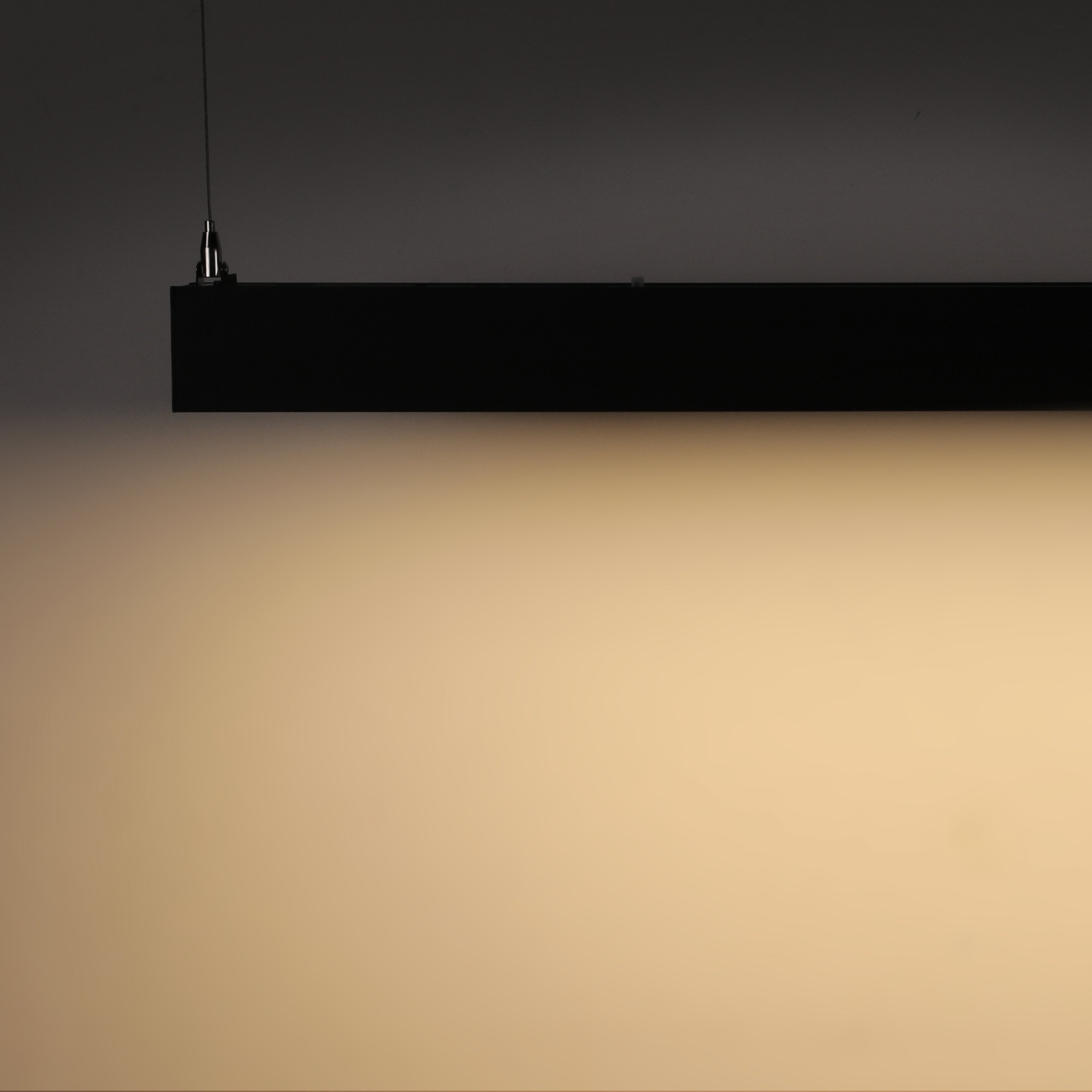 ElegaLux+ 4' LED Linear Light - Black - 40W - Adjustable CCT