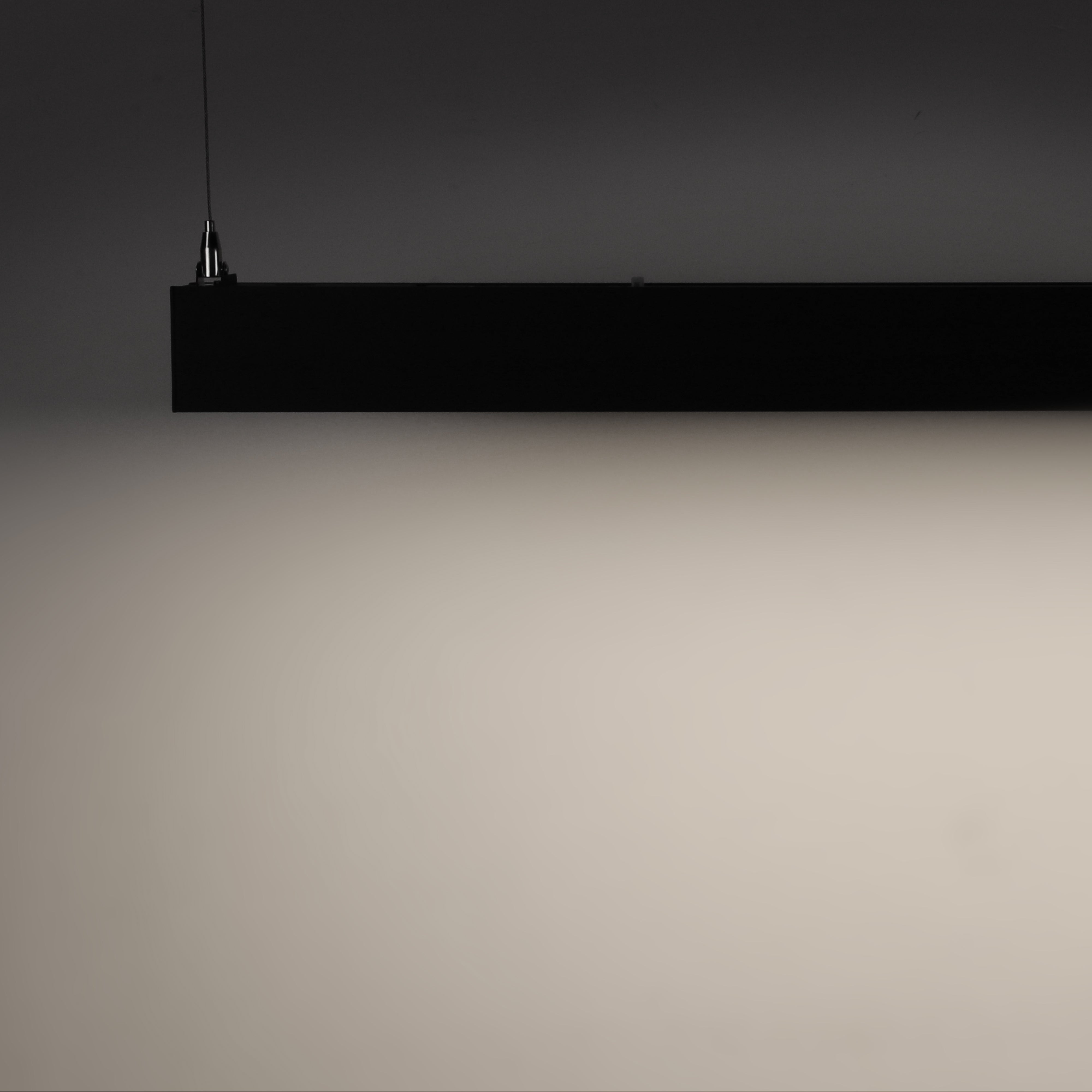 ElegaLux+ 4' LED Linear Light - Black - 40W - Adjustable CCT