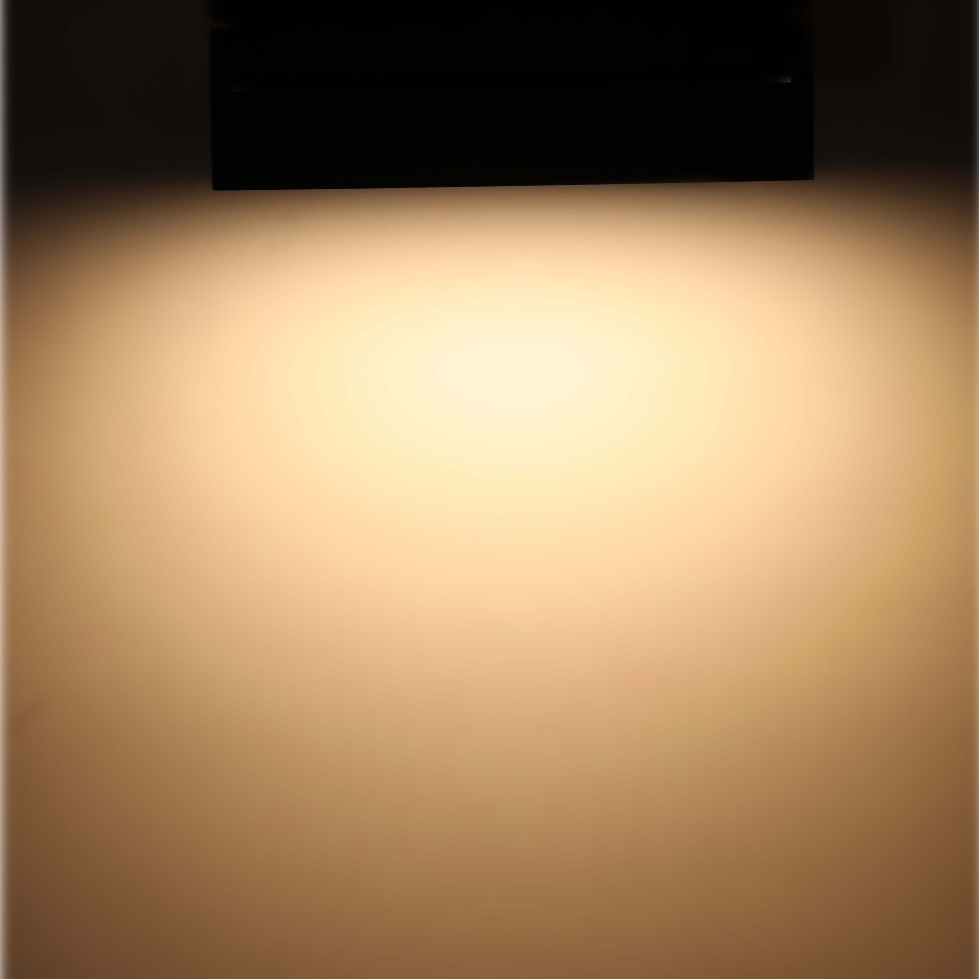 ArtPro Wide Beam LED Track Lighting Heads - Adjustable CCT