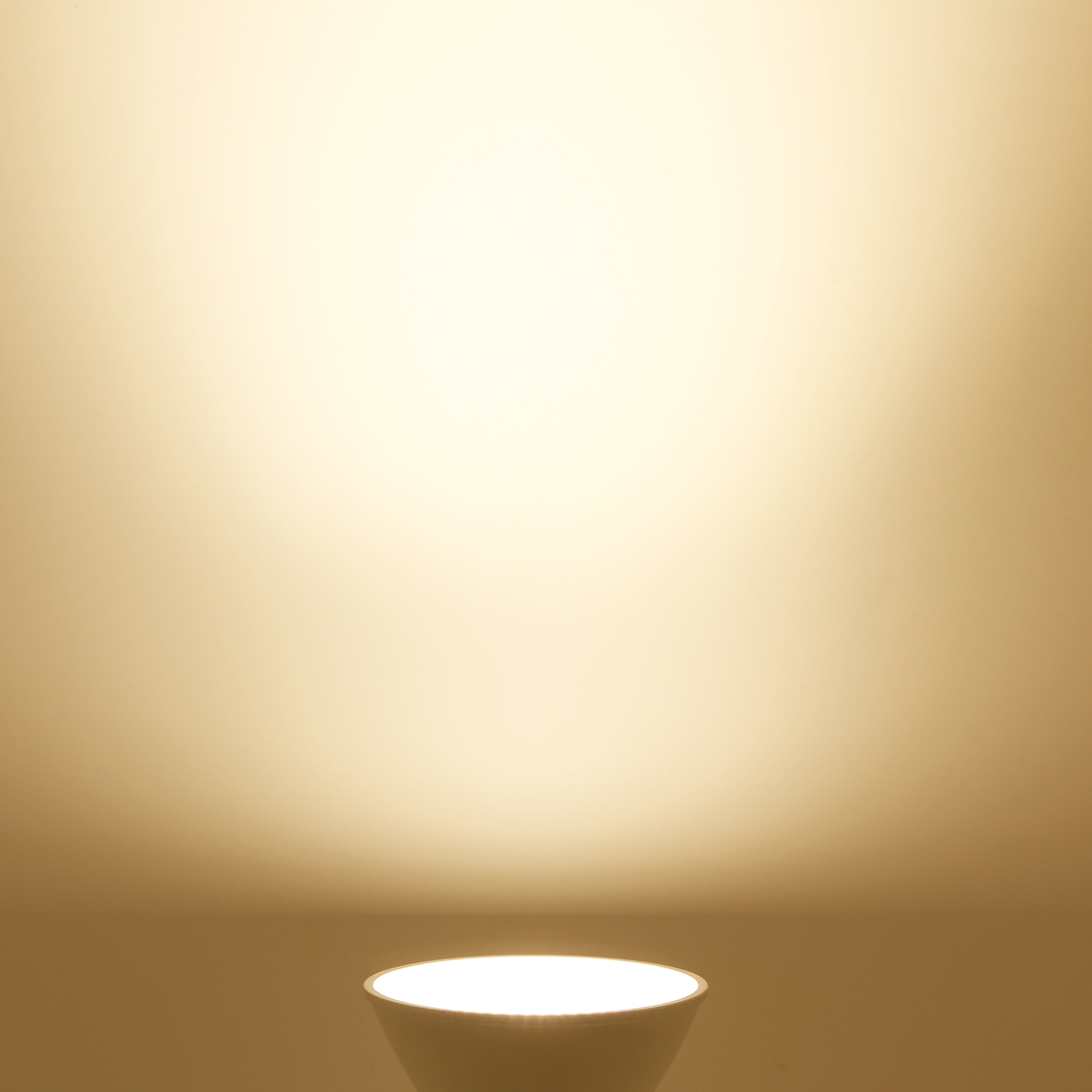 TORCHSTAR E-series 8W PAR30 LED Bulb - Short Neck - 3000K/5000K