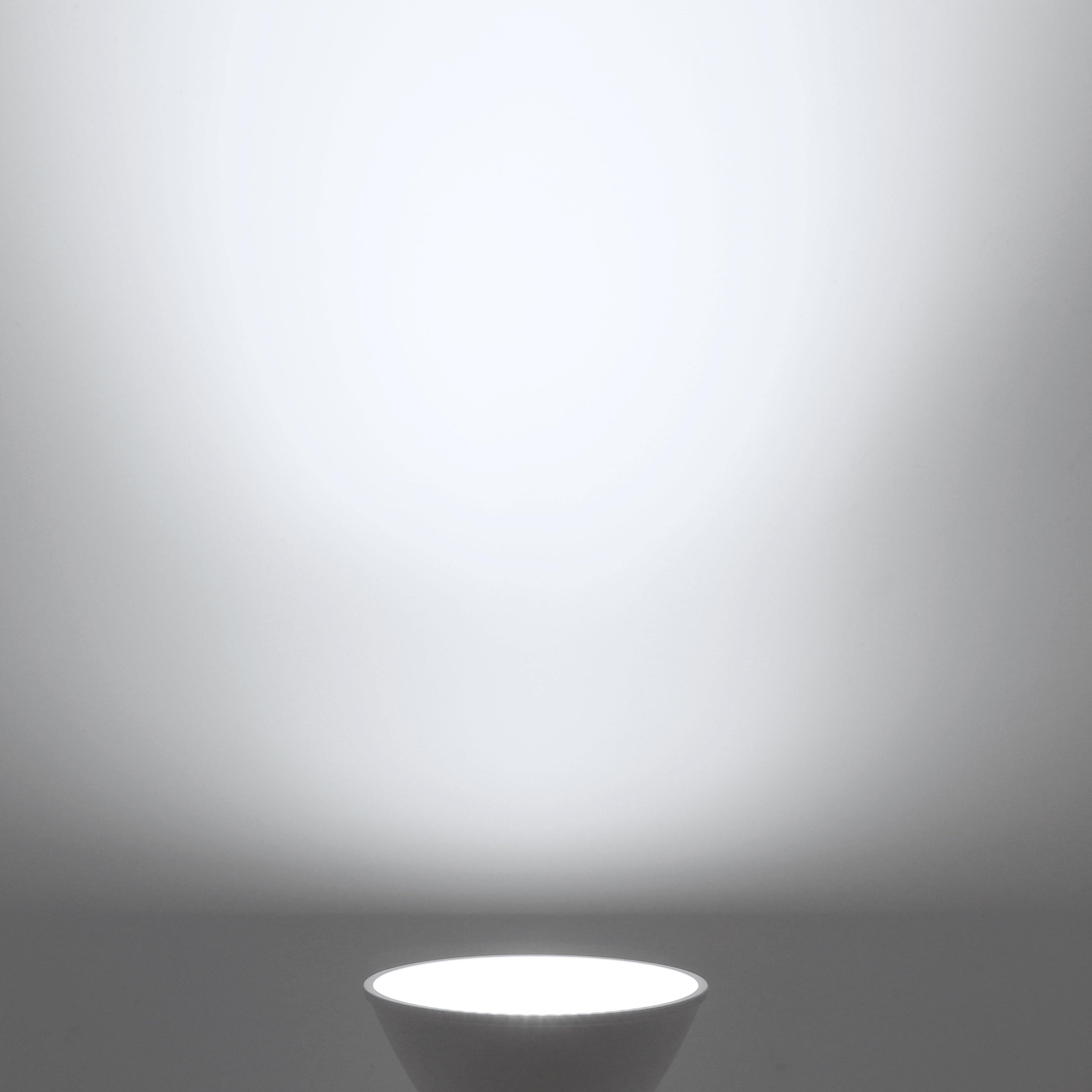 TORCHSTAR E-series 8W PAR30 LED Bulb - Short Neck - 3000K/5000K