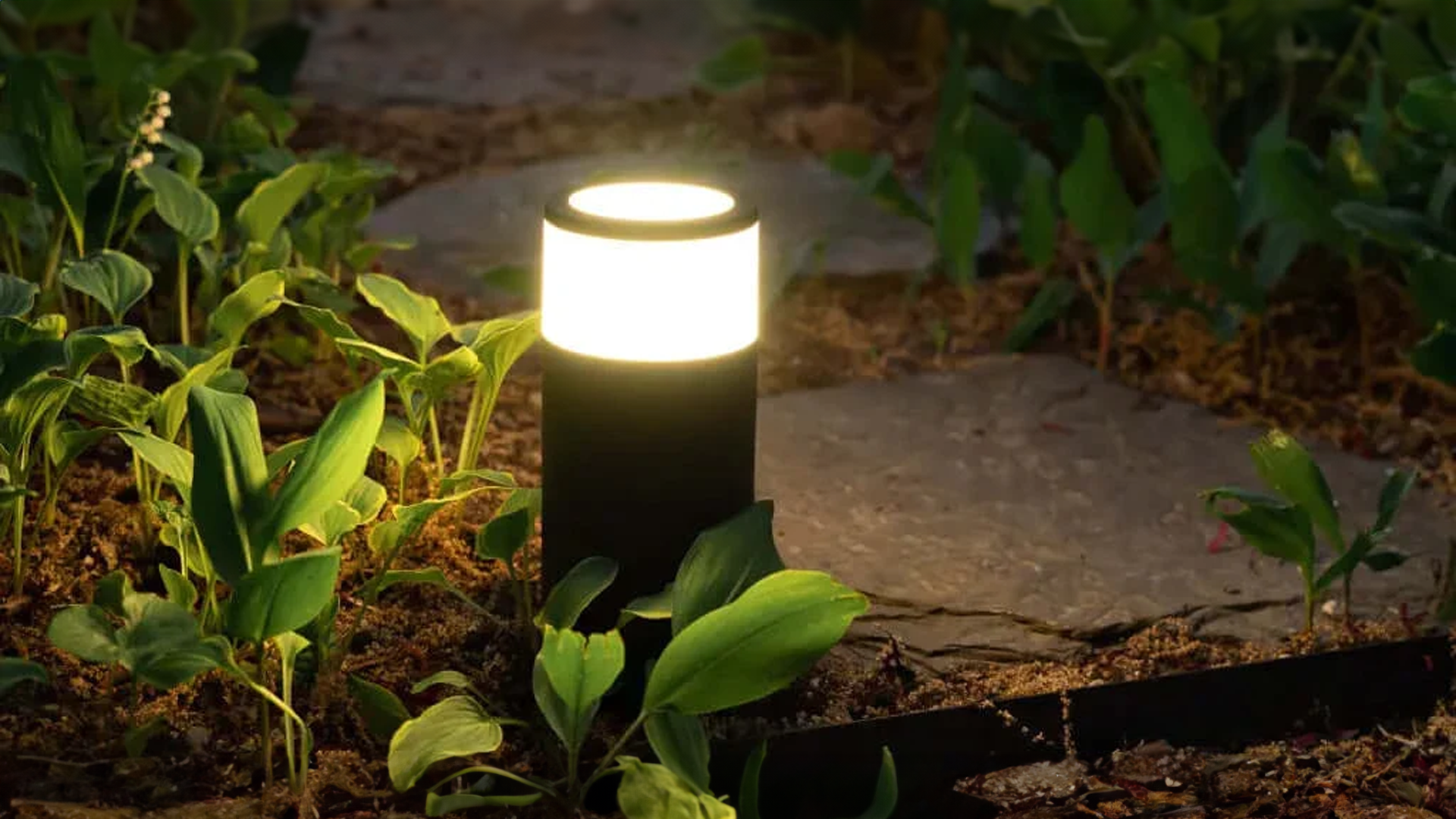 Are Solar Lights the Right Choice for Your Property? Top Advantages and Disadvantages Explained