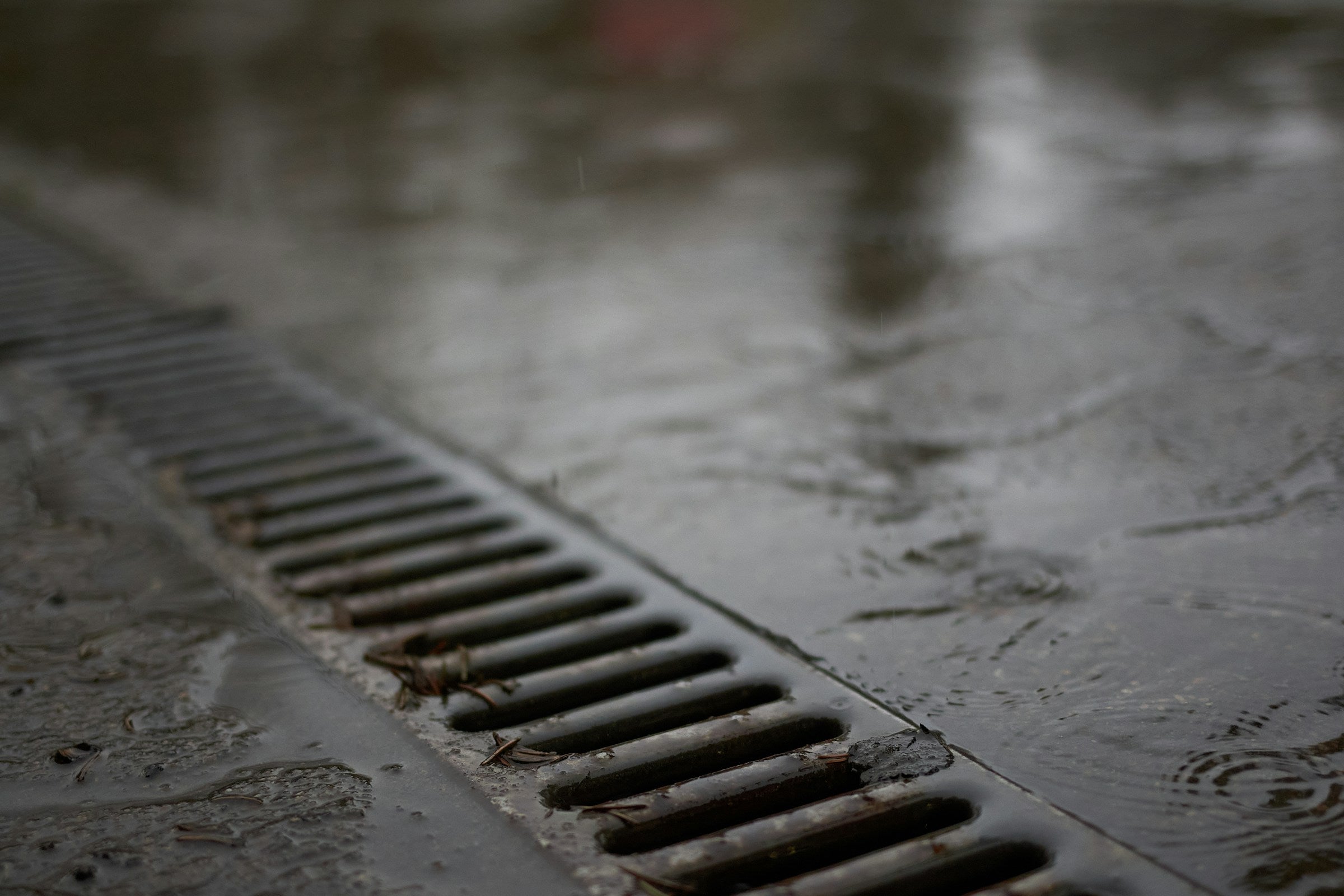 Pre-Move-In Sewer & Drainage Guide