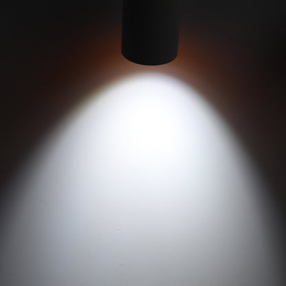 LeonLite theBeam™ Plus 4-Heads LED Ceiling Spot Lights - Black - Adjustable CCT