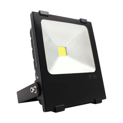 ClassicBeam 50W LED Pure White Flood Light - 50W 6000K