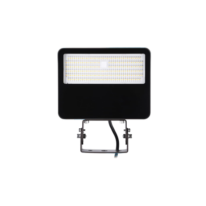 FloodLight™ Adjustable