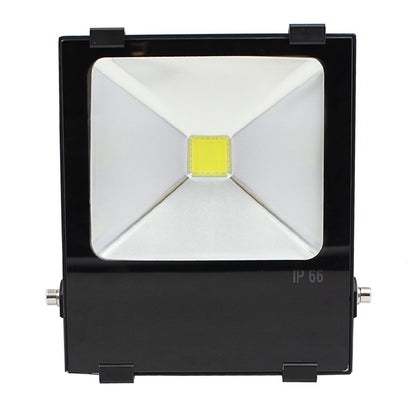 ClassicBeam 50W LED Pure White Flood Light - 50W 6000K
