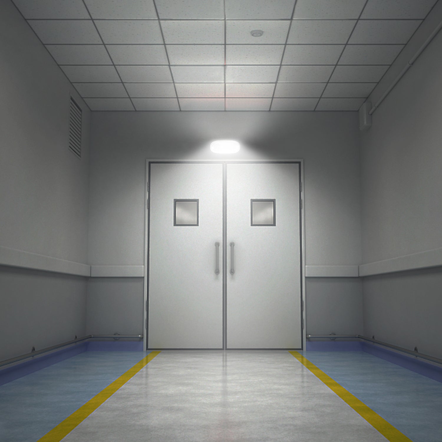 Banner Image 2