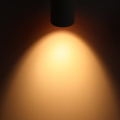 LeonLite theBeam™ Plus 4-Heads LED Ceiling Spot Lights - Black - Adjustable CCT