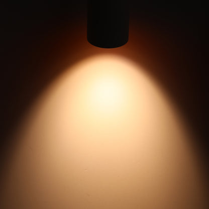 LeonLite theBeam™ Plus 4-Heads LED Ceiling Spot Lights - Black - Adjustable CCT