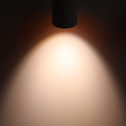 LeonLite theBeam™ Plus 4-Heads LED Ceiling Spot Lights - Black - Adjustable CCT
