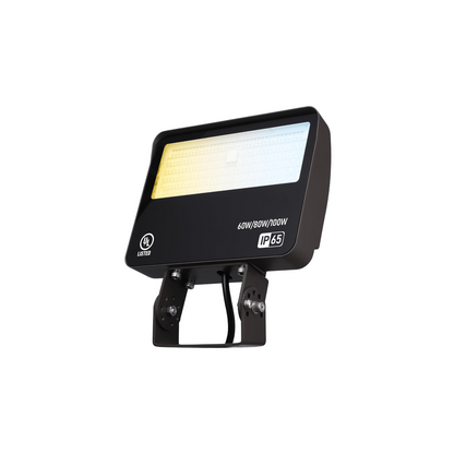 FloodLight™ Adjustable