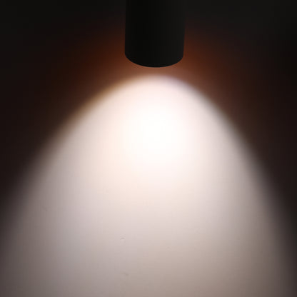 LeonLite theBeam™ Plus 4-Heads LED Ceiling Spot Lights - Black - Adjustable CCT