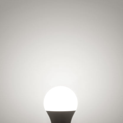 TORCHSTAR P-series 15W A19 LED Bulb - 3000K/5000K